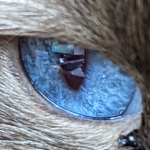 Cocodemarseille Avatar